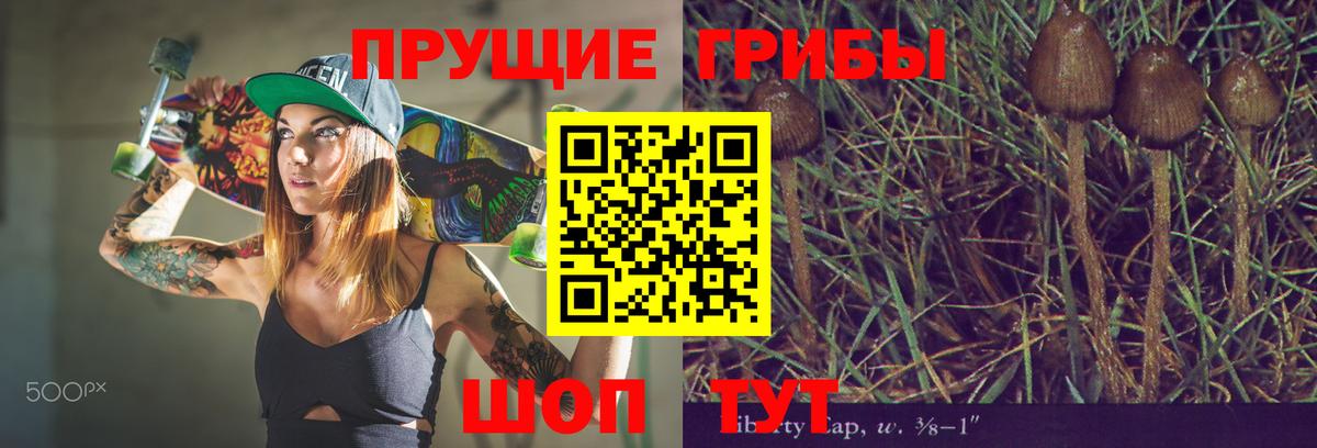 Псилоцибиновые грибы Psilocybe Астрахань